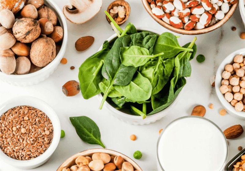proteína vegetal