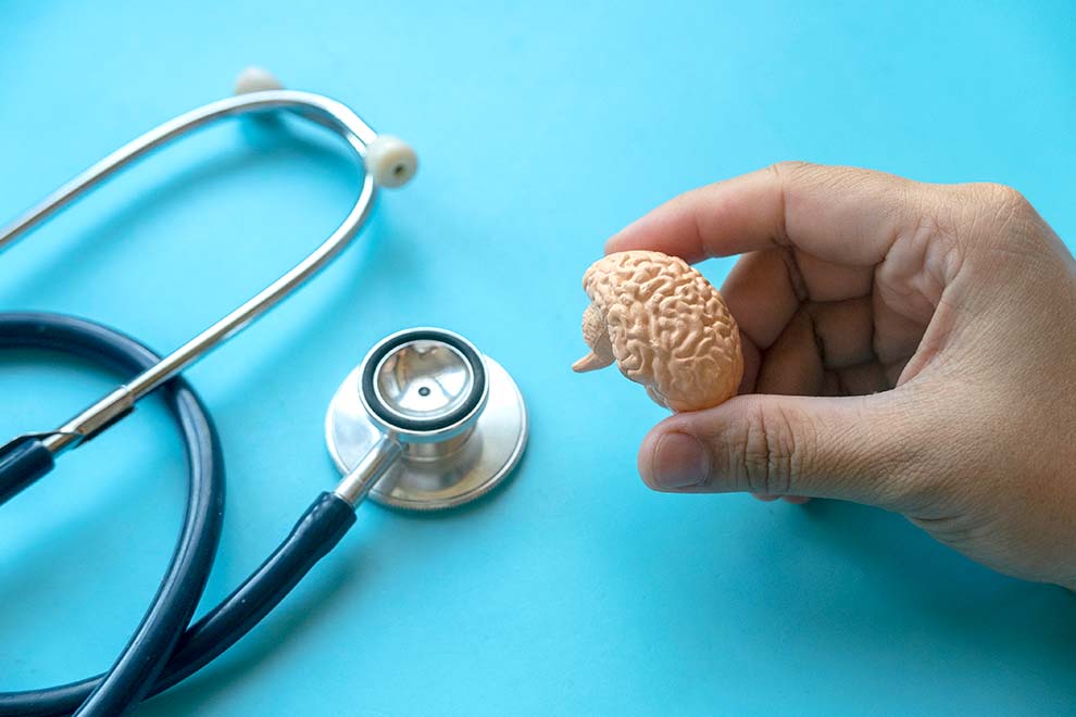 saúde cerebral Modelo de cérebro em mãos com estetoscópio ao lado